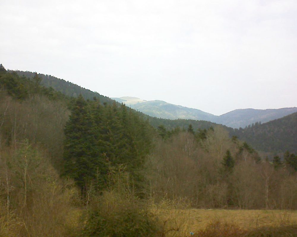 Le petit ballon vu depuis le Domaine Langmatt à Murbach le 04.03.2021 à 10:30 Le petit ballon (Alsace, Vosges) le 04.03.2021 à 10:30