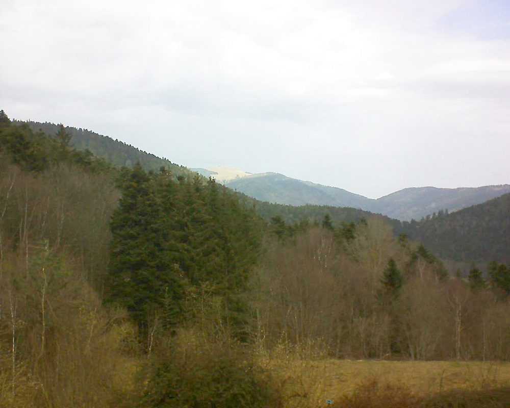 Le petit ballon vu depuis le Domaine Langmatt à Murbach le 04.03.2021 à 11:30 Le petit ballon (Alsace, Vosges) le 04.03.2021 à 11:30