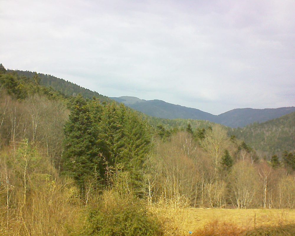 Le petit ballon vu depuis le Domaine Langmatt à Murbach le 04.03.2021 à 13:15 Le petit ballon (Alsace, Vosges) le 04.03.2021 à 13:15