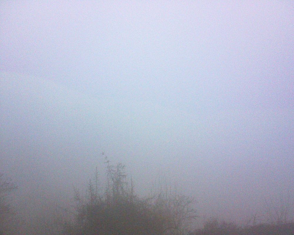 Le petit ballon (Alsace, Vosges) le 05.03.2021 à 07:30