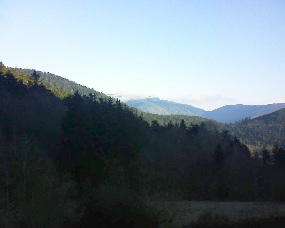 Le petit ballon (Alsace, Vosges) le 06.03.2021 à 08:30