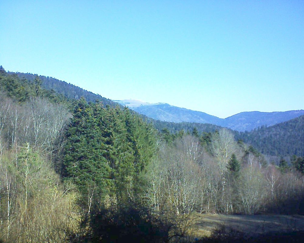 Le petit ballon (Alsace, Vosges) le 06.03.2021 à 10:30