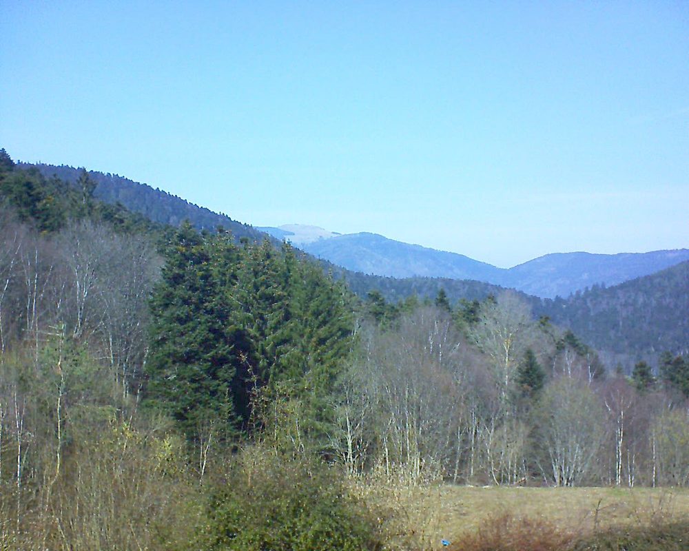 Le petit ballon vu depuis le Domaine Langmatt à Murbach le 08.03.2021 à 13:15 Le petit ballon (Alsace, Vosges) le 08.03.2021 à 13:15