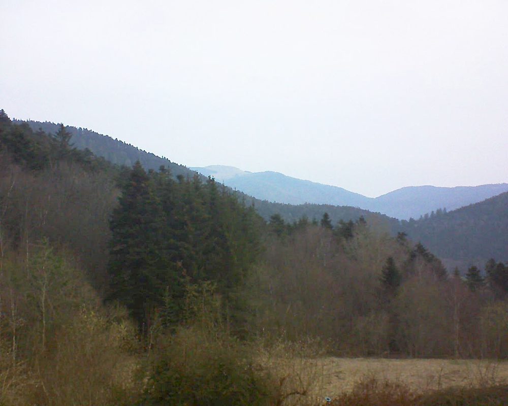Le petit ballon (Alsace, Vosges) le 09.03.2021 à 07:30