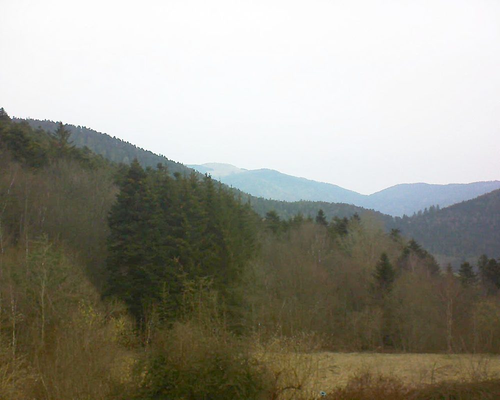 Le petit ballon vu depuis le Domaine Langmatt à Murbach le 09.03.2021 à 08:30 Le petit ballon (Alsace, Vosges) le 09.03.2021 à 08:30