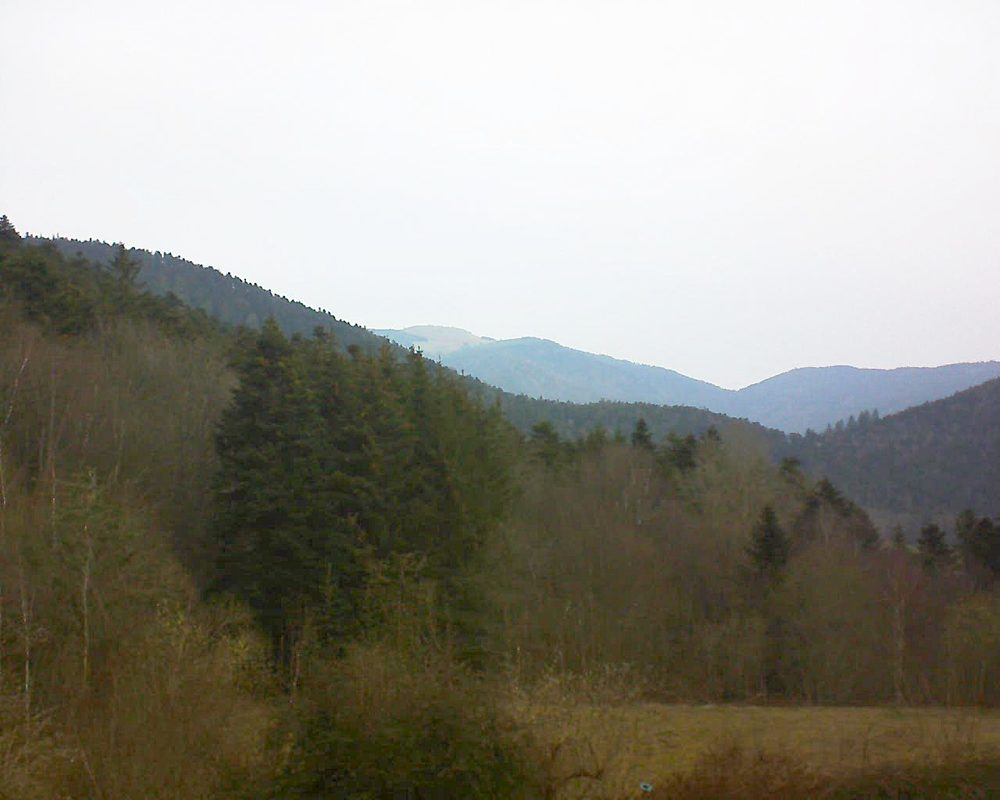 Le petit ballon vu depuis le Domaine Langmatt à Murbach le 09.03.2021 à 09:30 Le petit ballon (Alsace, Vosges) le 09.03.2021 à 09:30