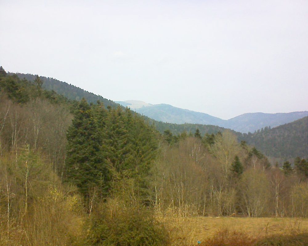 Le petit ballon vu depuis le Domaine Langmatt à Murbach le 09.03.2021 à 12:30 Le petit ballon (Alsace, Vosges) le 09.03.2021 à 12:30