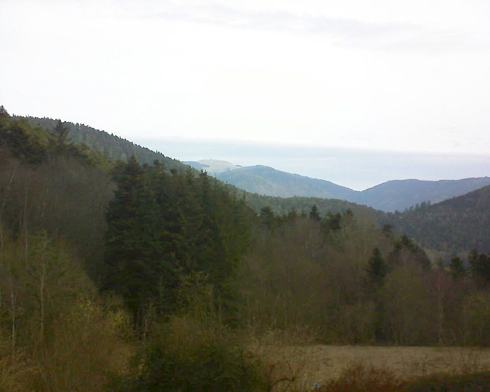 Le petit ballon (Alsace, Vosges) le 10.03.2021 à 08:30