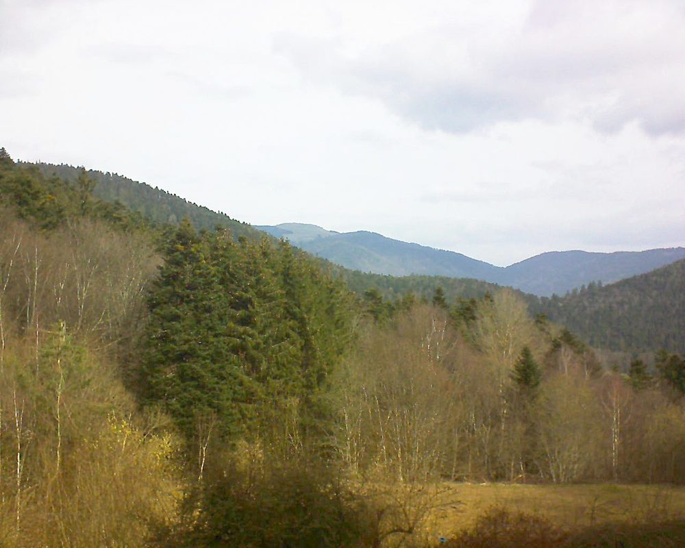 Le petit ballon vu depuis le Domaine Langmatt à Murbach le 10.03.2021 à 10:30 Le petit ballon (Alsace, Vosges) le 10.03.2021 à 10:30