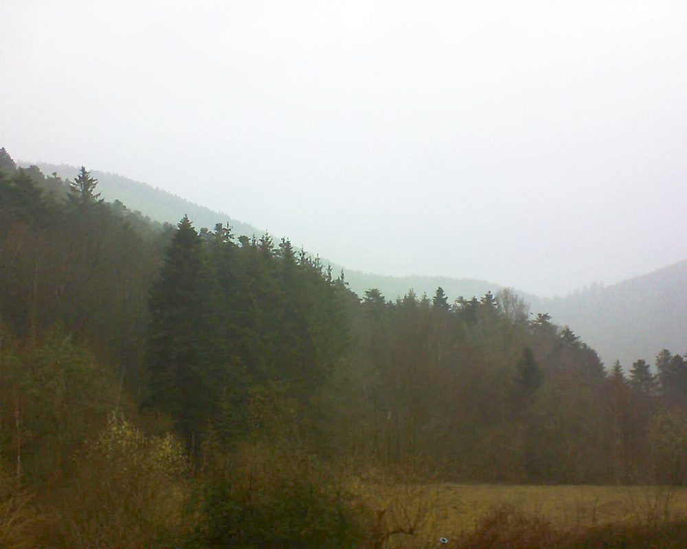 Le petit ballon (Alsace, Vosges) le 11.03.2021 à 09:00