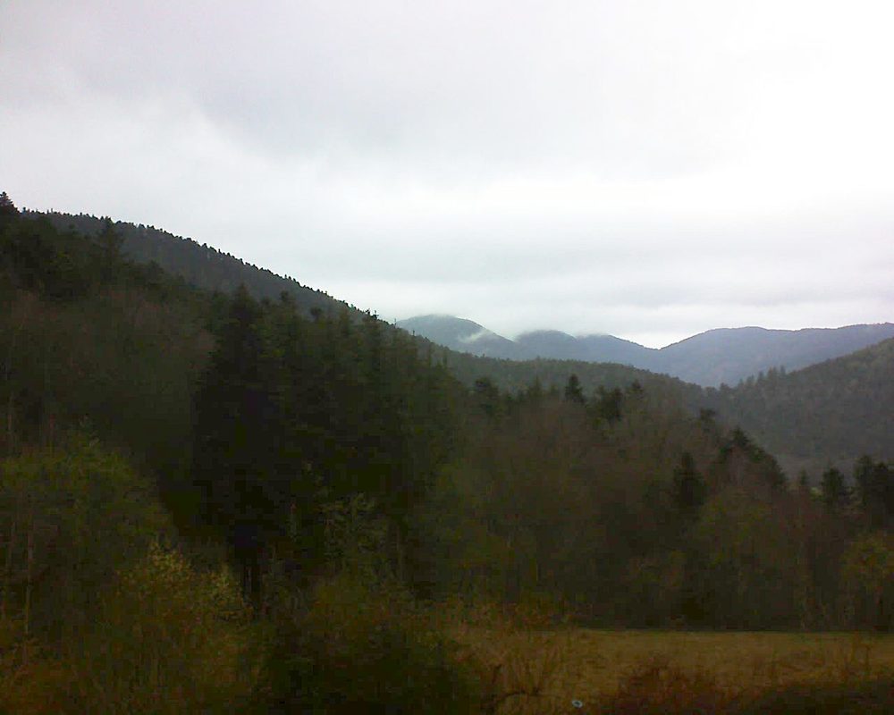 Le petit ballon vu depuis le Domaine Langmatt à Murbach le 11.03.2021 à 10:45 Le petit ballon (Alsace, Vosges) le 11.03.2021 à 10:45