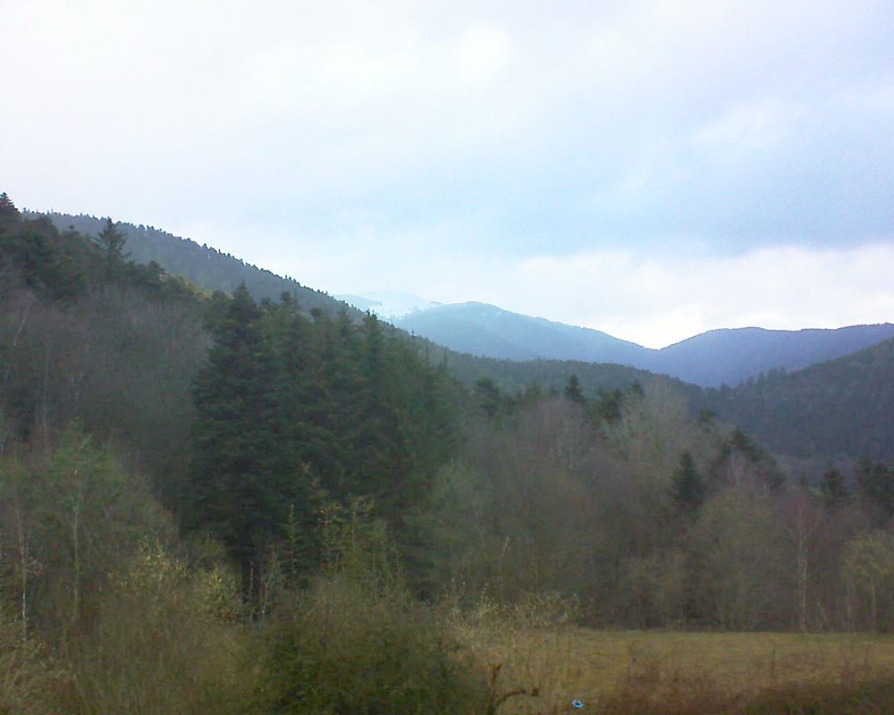 Le petit ballon vu depuis le Domaine Langmatt à Murbach le 12.03.2021 à 07:30 Le petit ballon (Alsace, Vosges) le 12.03.2021 à 07:30