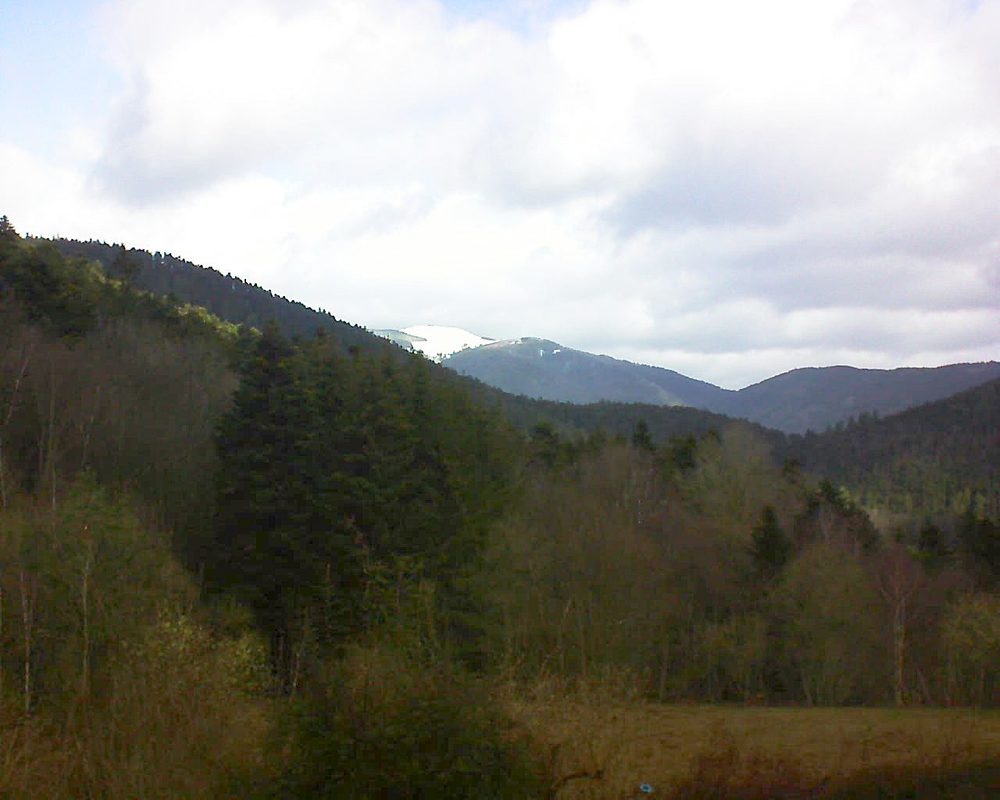 Le petit ballon (Alsace, Vosges) le 12.03.2021 à 10:30