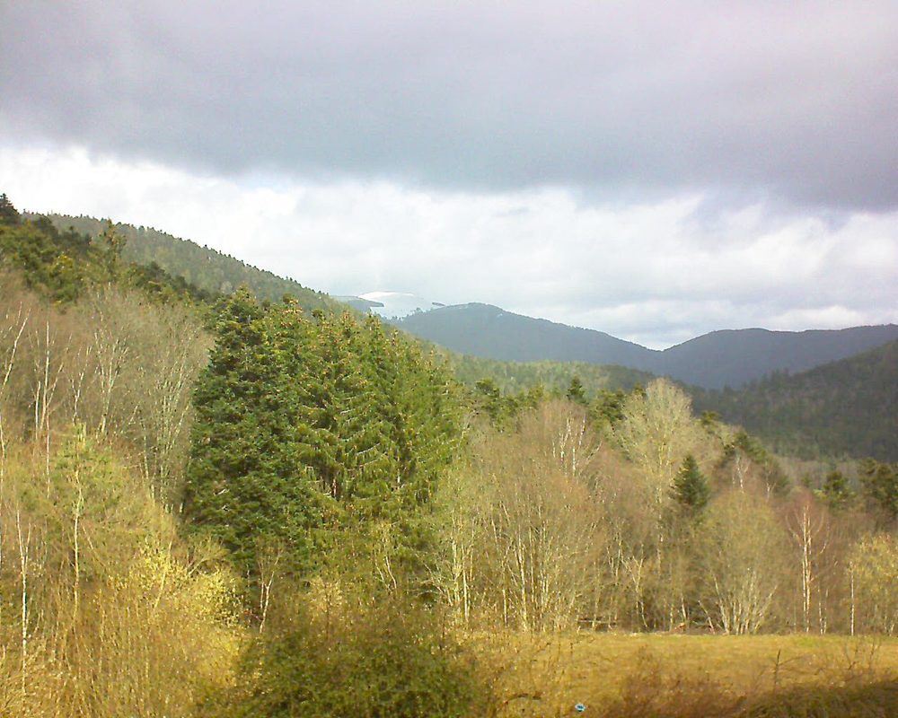 Le petit ballon vu depuis le Domaine Langmatt à Murbach le 12.03.2021 à 11:30 Le petit ballon (Alsace, Vosges) le 12.03.2021 à 11:30