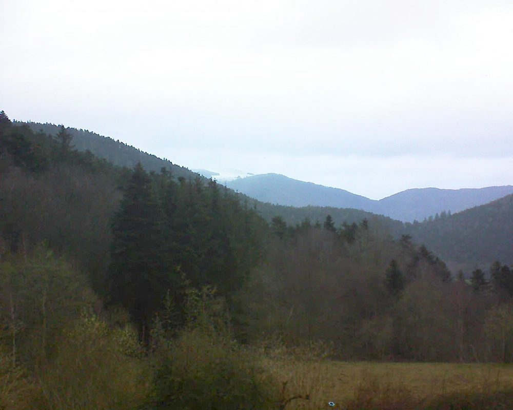 Le petit ballon (Alsace, Vosges) le 13.03.2021 à 07:15