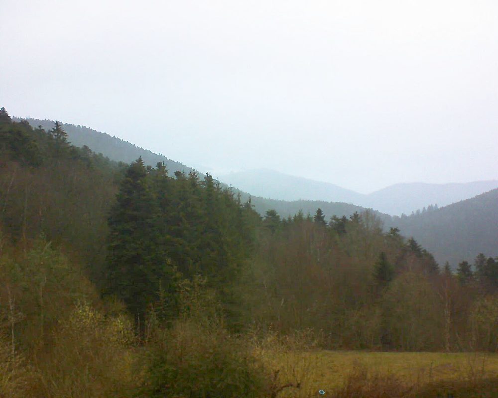 Le petit ballon (Alsace, Vosges) le 13.03.2021 à 07:30
