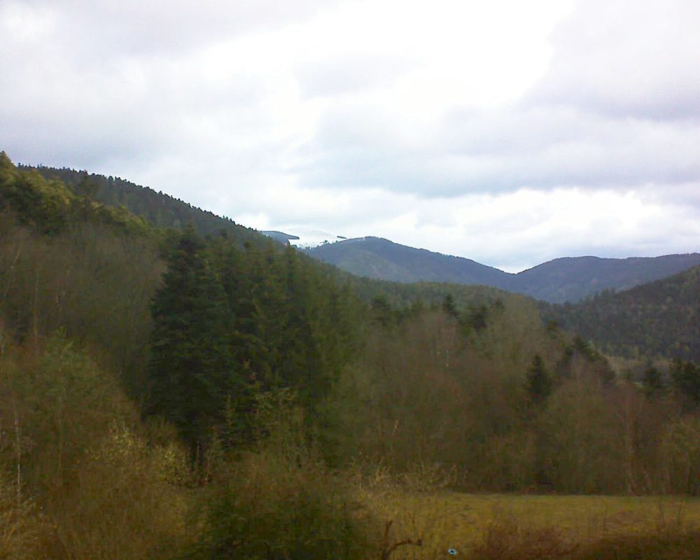 Le petit ballon (Alsace, Vosges) le 13.03.2021 à 07:45