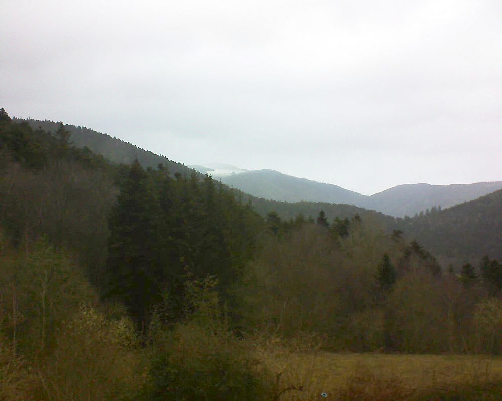 Le petit ballon (Alsace, Vosges) le 13.03.2021 à 10:15