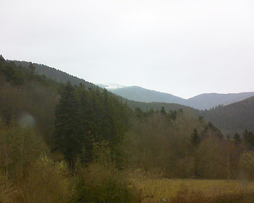 Le petit ballon (Alsace, Vosges) le 13.03.2021 à 11:30