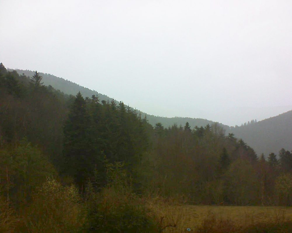 Le petit ballon (Alsace, Vosges) le 13.03.2021 à 13:30