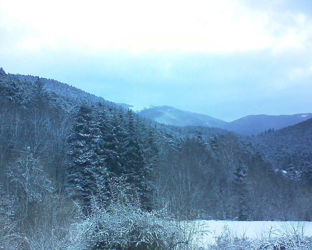 Le petit ballon (Alsace, Vosges) le 14.03.2021 à 07:00