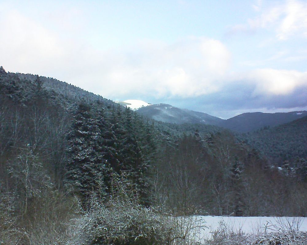 Le petit ballon (Alsace, Vosges) le 14.03.2021 à 07:30