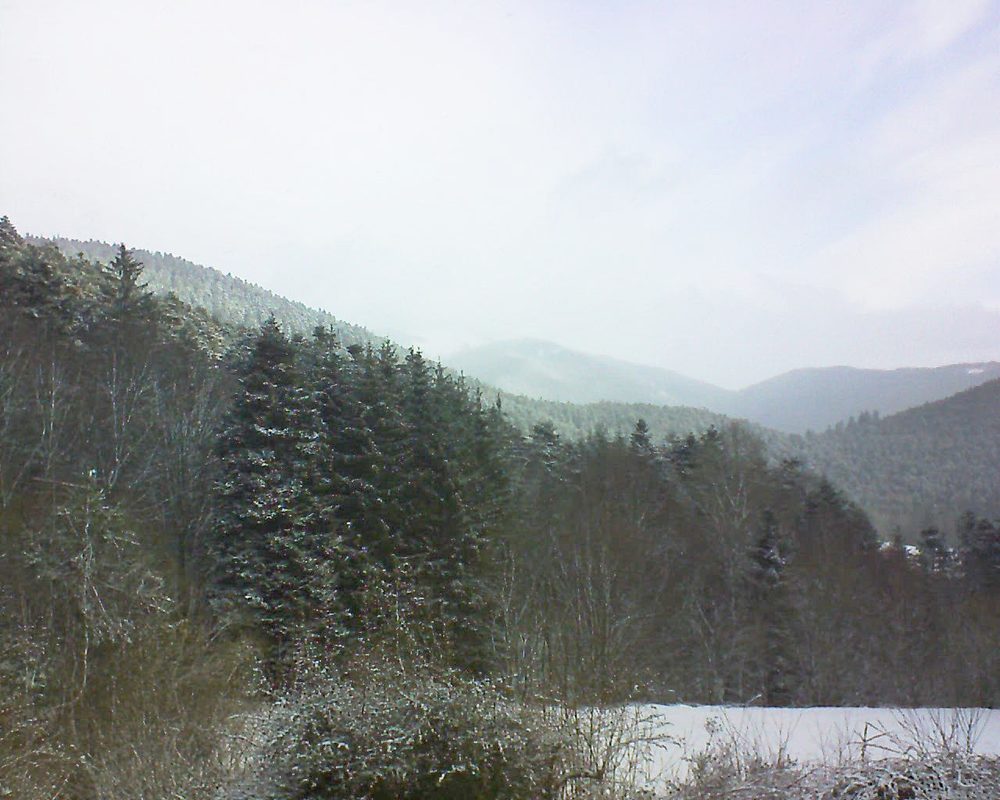 Le petit ballon (Alsace, Vosges) le 14.03.2021 à 08:30