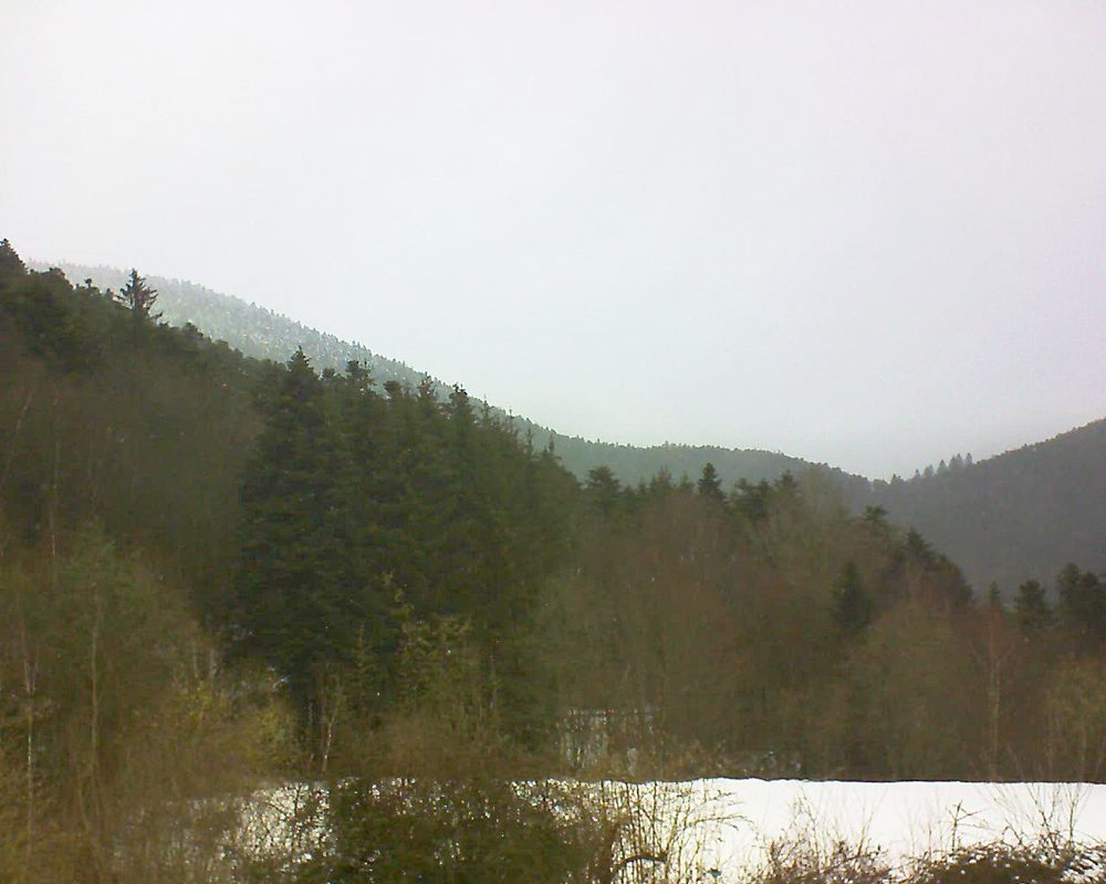 Le petit ballon (Alsace, Vosges) le 15.03.2021 à 11:00