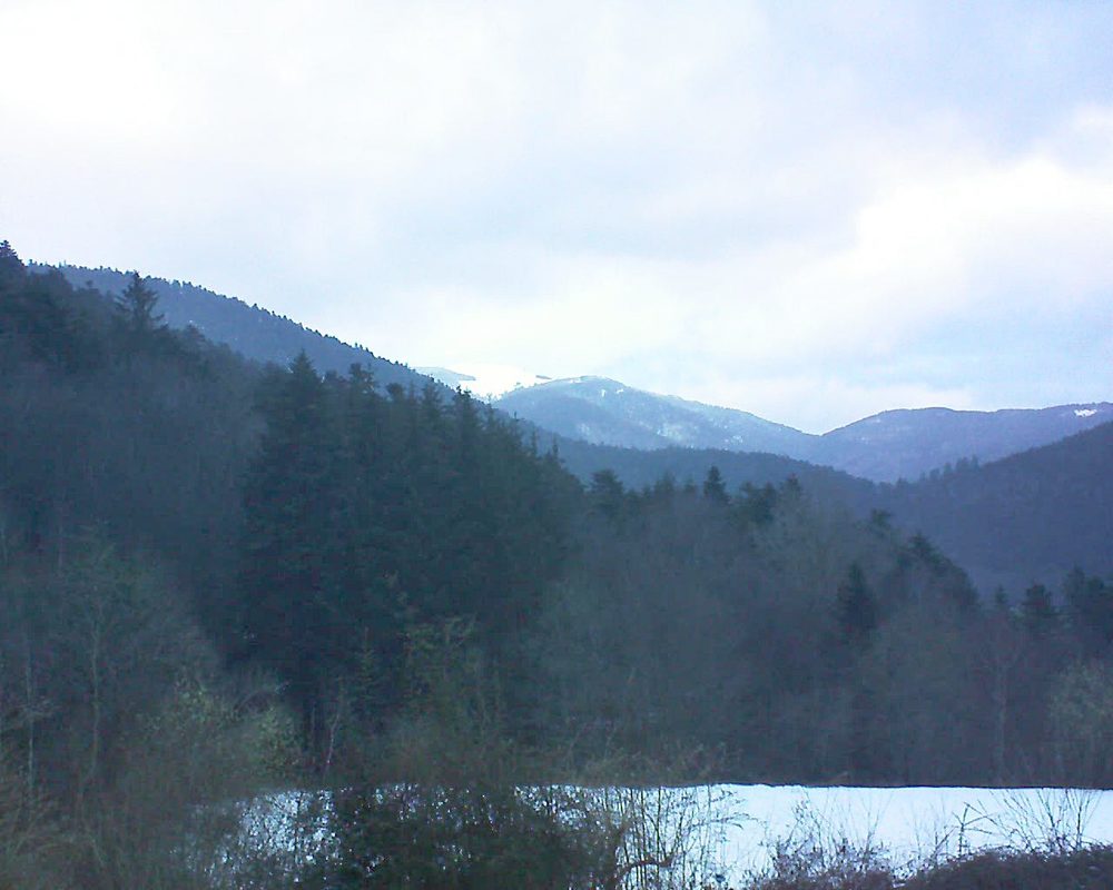 Le petit ballon vu depuis le Domaine Langmatt à Murbach le 16.03.2021 à 07:15 Le petit ballon (Alsace, Vosges) le 16.03.2021 à 07:15