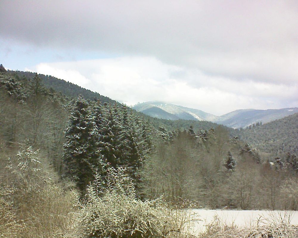 Le petit ballon (Alsace, Vosges) le 18.03.2021 à 09:00