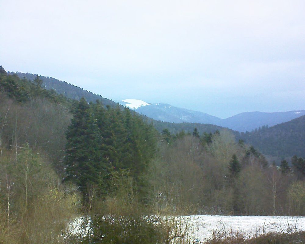 Le petit ballon (Alsace, Vosges) le 19.03.2021 à 07:30
