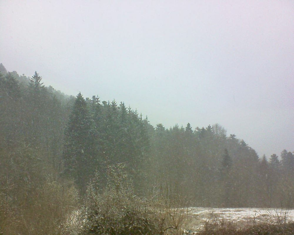 Le petit ballon (Alsace, Vosges) le 19.03.2021 à 11:30