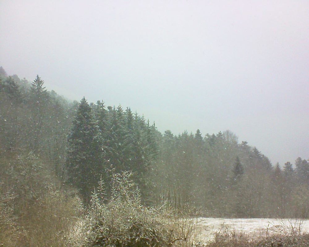 Le petit ballon vu depuis le Domaine Langmatt à Murbach le 19.03.2021 à 11:45 Le petit ballon (Alsace, Vosges) le 19.03.2021 à 11:45