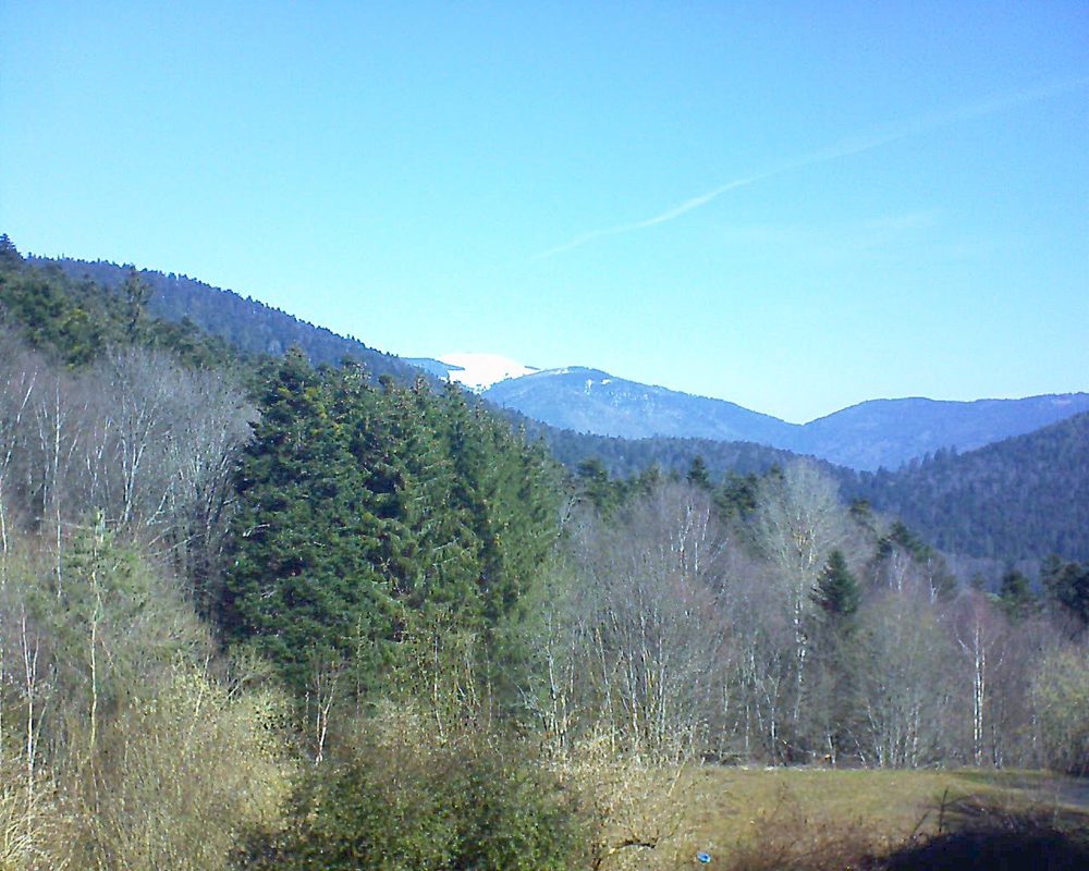 Le petit ballon vu depuis le Domaine Langmatt à Murbach le 24.03.2021 à 10:15 Le petit ballon (Alsace, Vosges) le 24.03.2021 à 10:15