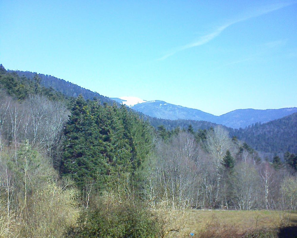 Le petit ballon vu depuis le Domaine Langmatt à Murbach le 24.03.2021 à 10:30 Le petit ballon (Alsace, Vosges) le 24.03.2021 à 10:30