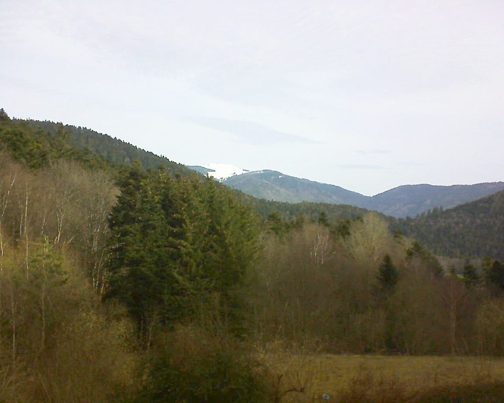 Le petit ballon vu depuis le Domaine Langmatt à Murbach le 25.03.2021 à 09:00 Le petit ballon (Alsace, Vosges) le 25.03.2021 à 09:00