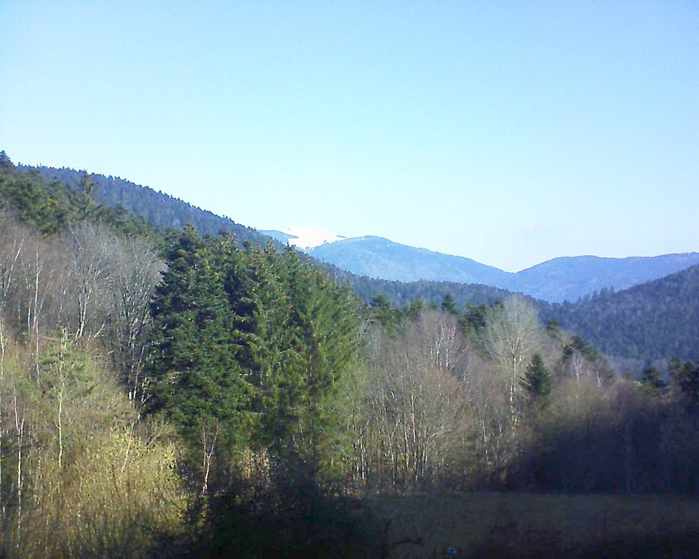 Le petit ballon vu depuis le Domaine Langmatt à Murbach le 26.03.2021 à 09:15 Le petit ballon (Alsace, Vosges) le 26.03.2021 à 09:15