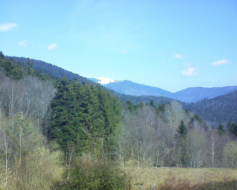 Le petit ballon vu depuis le Domaine Langmatt à Murbach le 26.03.2021 à 10:45 Le petit ballon (Alsace, Vosges) le 26.03.2021 à 10:45