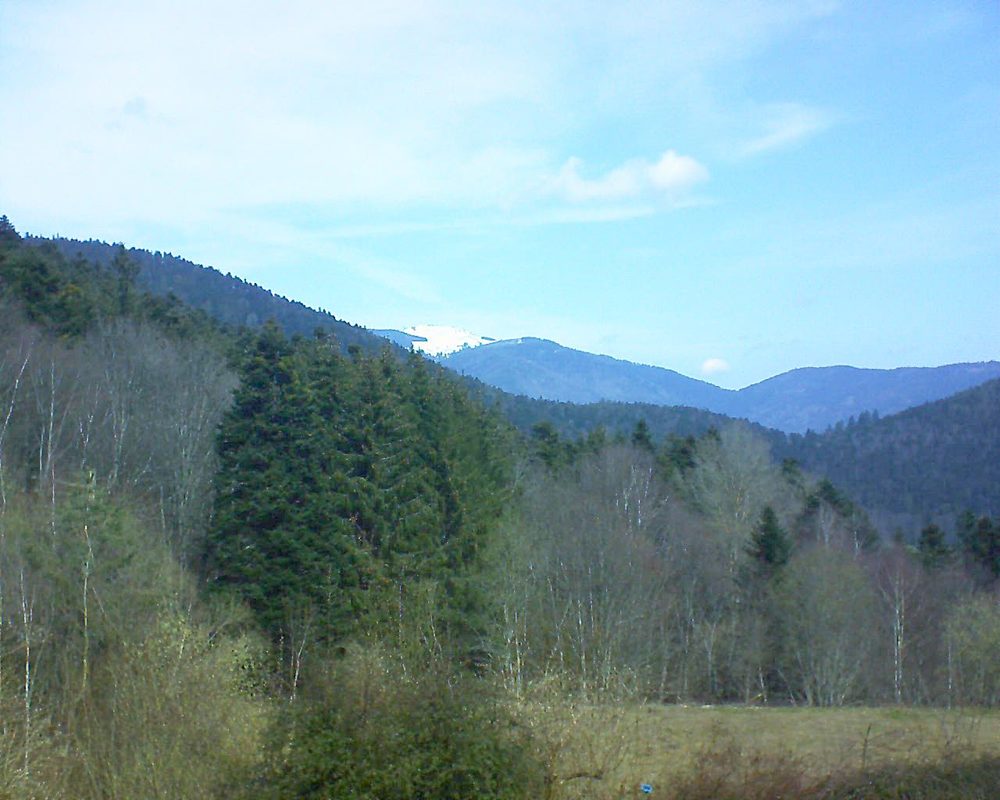 Le petit ballon vu depuis le Domaine Langmatt à Murbach le 26.03.2021 à 11:15 Le petit ballon (Alsace, Vosges) le 26.03.2021 à 11:15
