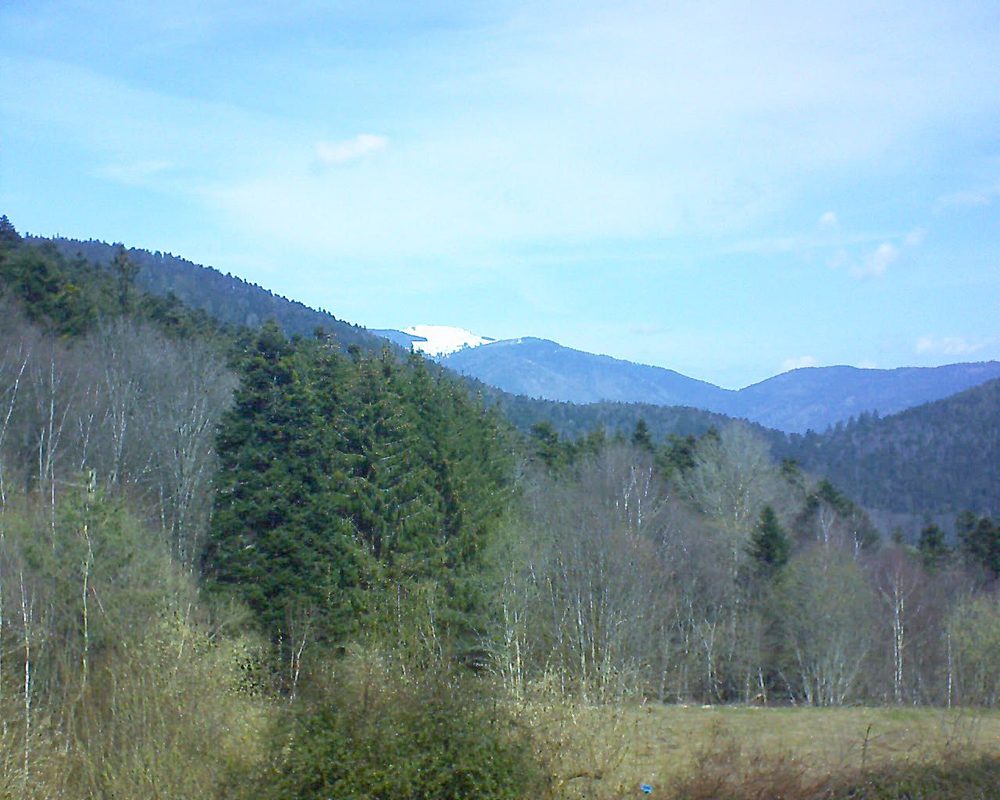 Le petit ballon vu depuis le Domaine Langmatt à Murbach le 26.03.2021 à 11:30 Le petit ballon (Alsace, Vosges) le 26.03.2021 à 11:30