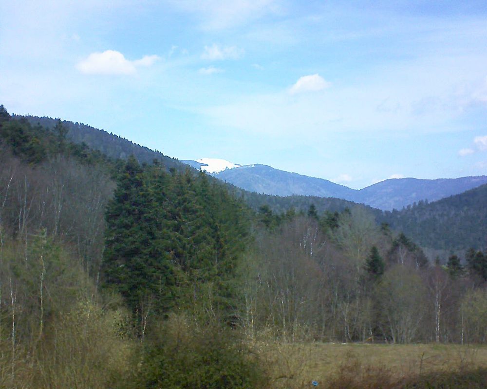 Le petit ballon vu depuis le Domaine Langmatt à Murbach le 26.03.2021 à 11:45 Le petit ballon (Alsace, Vosges) le 26.03.2021 à 11:45