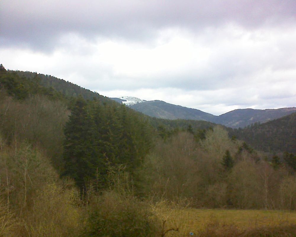 Le petit ballon vu depuis le Domaine Langmatt à Murbach le 27.03.2021 à 08:30 Le petit ballon (Alsace, Vosges) le 27.03.2021 à 08:30