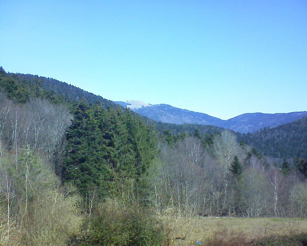 Le petit ballon vu depuis le Domaine Langmatt à Murbach le 29.03.2021 à 11:30 Le petit ballon (Alsace, Vosges) le 29.03.2021 à 11:30