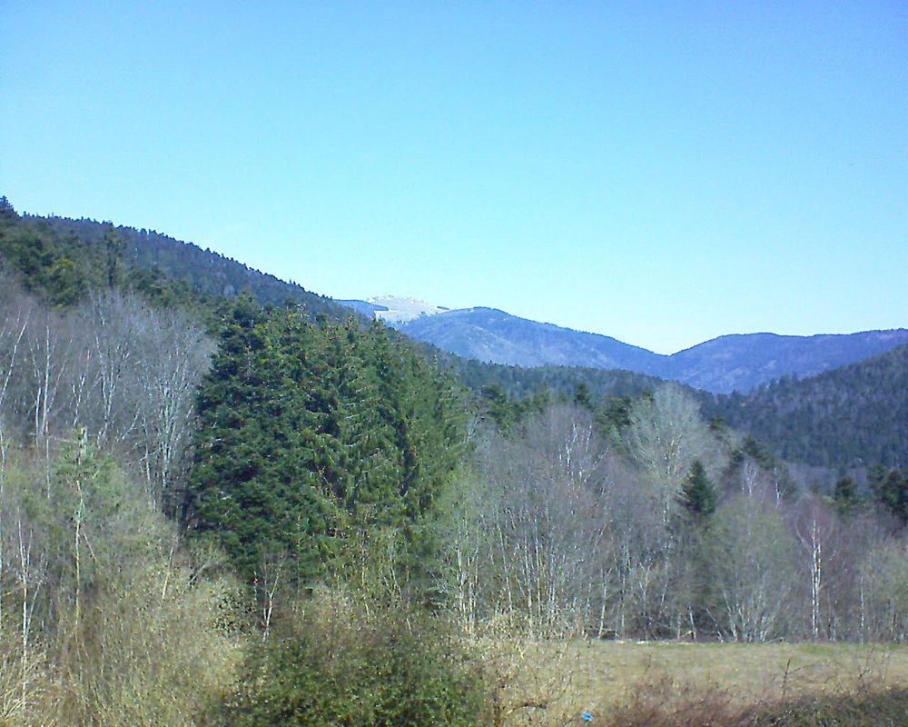 Le petit ballon vu depuis le Domaine Langmatt à Murbach le 29.03.2021 à 12:00 Le petit ballon (Alsace, Vosges) le 29.03.2021 à 12:00