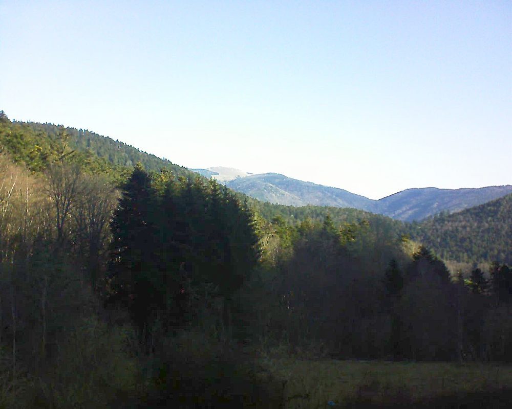 Le petit ballon vu depuis le Domaine Langmatt à Murbach le 30.03.2021 à 09:30 Le petit ballon (Alsace, Vosges) le 30.03.2021 à 09:30