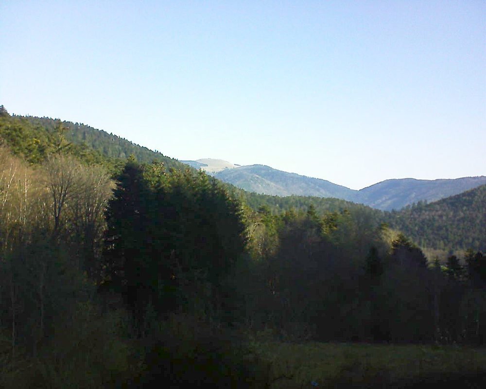 Le petit ballon vu depuis le Domaine Langmatt à Murbach le 31.03.2021 à 09:30 Le petit ballon (Alsace, Vosges) le 31.03.2021 à 09:30
