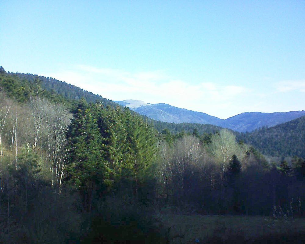 Le petit ballon vu depuis le Domaine Langmatt à Murbach le 01.04.2021 à 09:45 Le petit ballon (Alsace, Vosges) le 01.04.2021 à 09:45