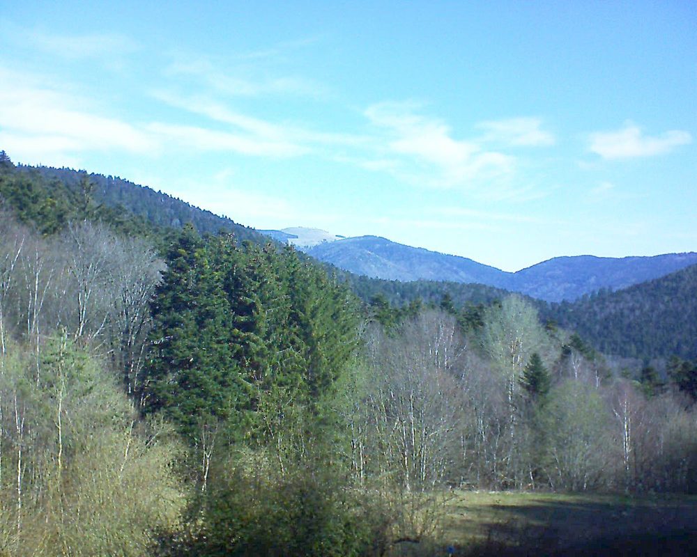 Le petit ballon vu depuis le Domaine Langmatt à Murbach le 01.04.2021 à 10:30 Le petit ballon (Alsace, Vosges) le 01.04.2021 à 10:30