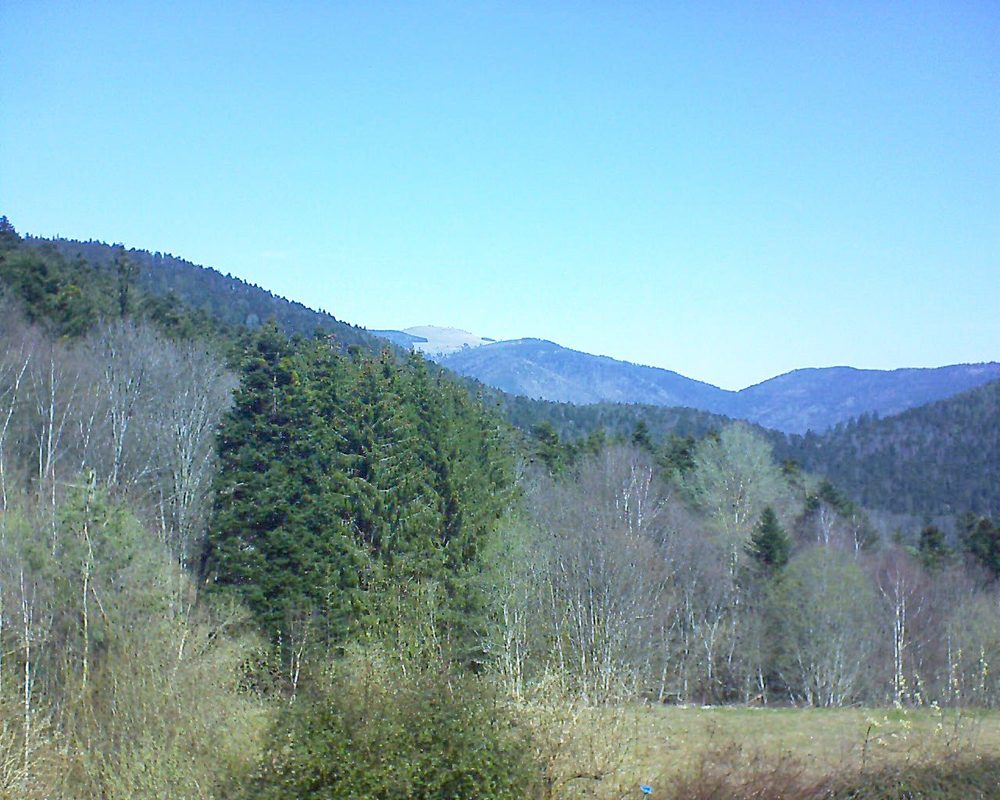 Le petit ballon vu depuis le Domaine Langmatt à Murbach le 01.04.2021 à 12:15 Le petit ballon (Alsace, Vosges) le 01.04.2021 à 12:15
