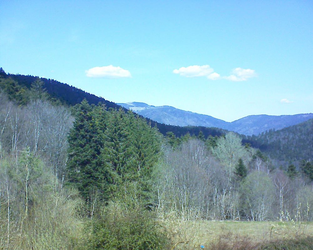 Le petit ballon vu depuis le Domaine Langmatt à Murbach le 01.04.2021 à 13:15 Le petit ballon (Alsace, Vosges) le 01.04.2021 à 13:15